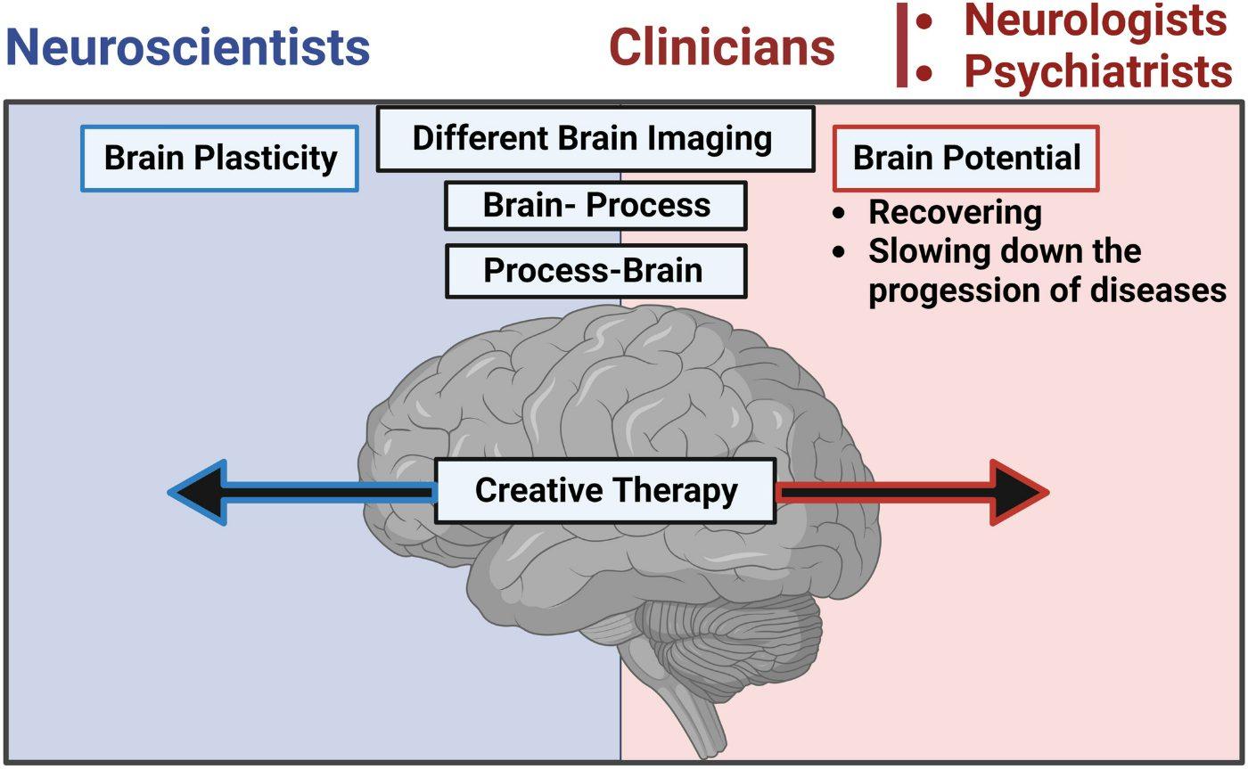 Figure 8 — creative therapy as the bridge between neuroscientists (brain plasticity, brain imaging, brain–process and process–brain) and clinicians, neurologists and psychiatrists (brain potential: recovering, slowing disease progression)