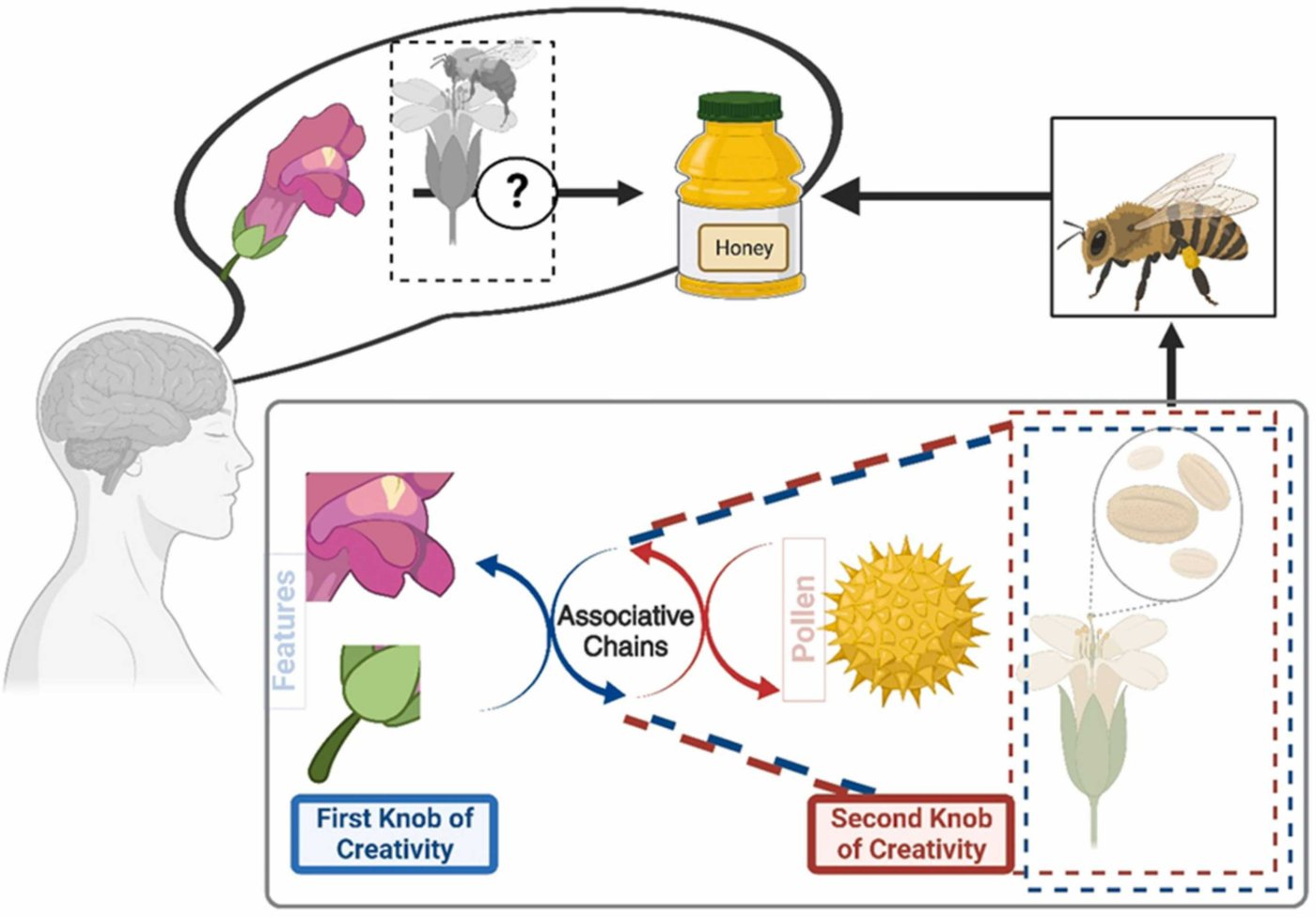 Figure 6 — a thinker imagines how a flower leads to honey: the first knob of creativity decomposes the flower into features, associative chains link features to pollen, and the second knob of creativity reconstructs the missing link — the bee