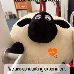 Experiments cover